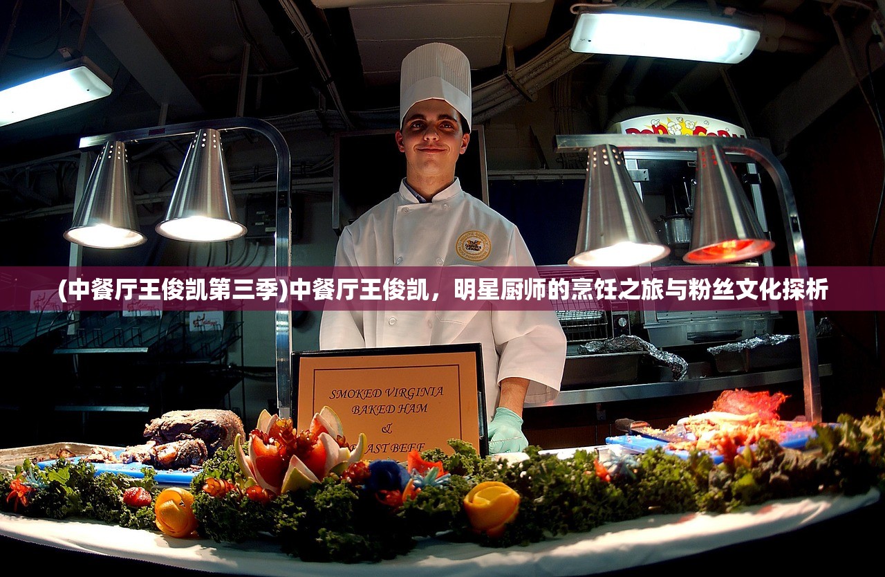 (中餐厅王俊凯第三季)中餐厅王俊凯，明星厨师的烹饪之旅与粉丝文化探析