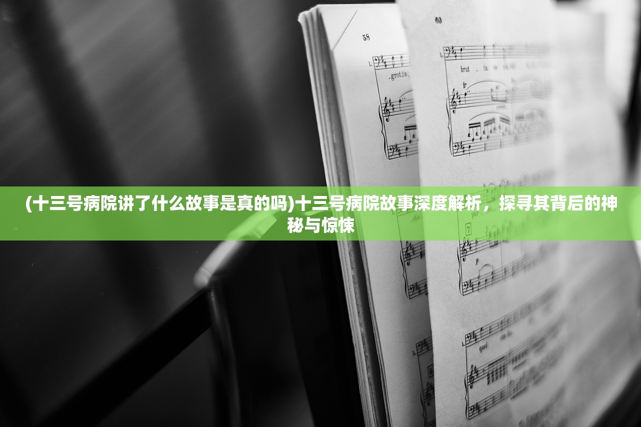 (十三号病院讲了什么故事是真的吗)十三号病院故事深度解析，探寻其背后的神秘与惊悚