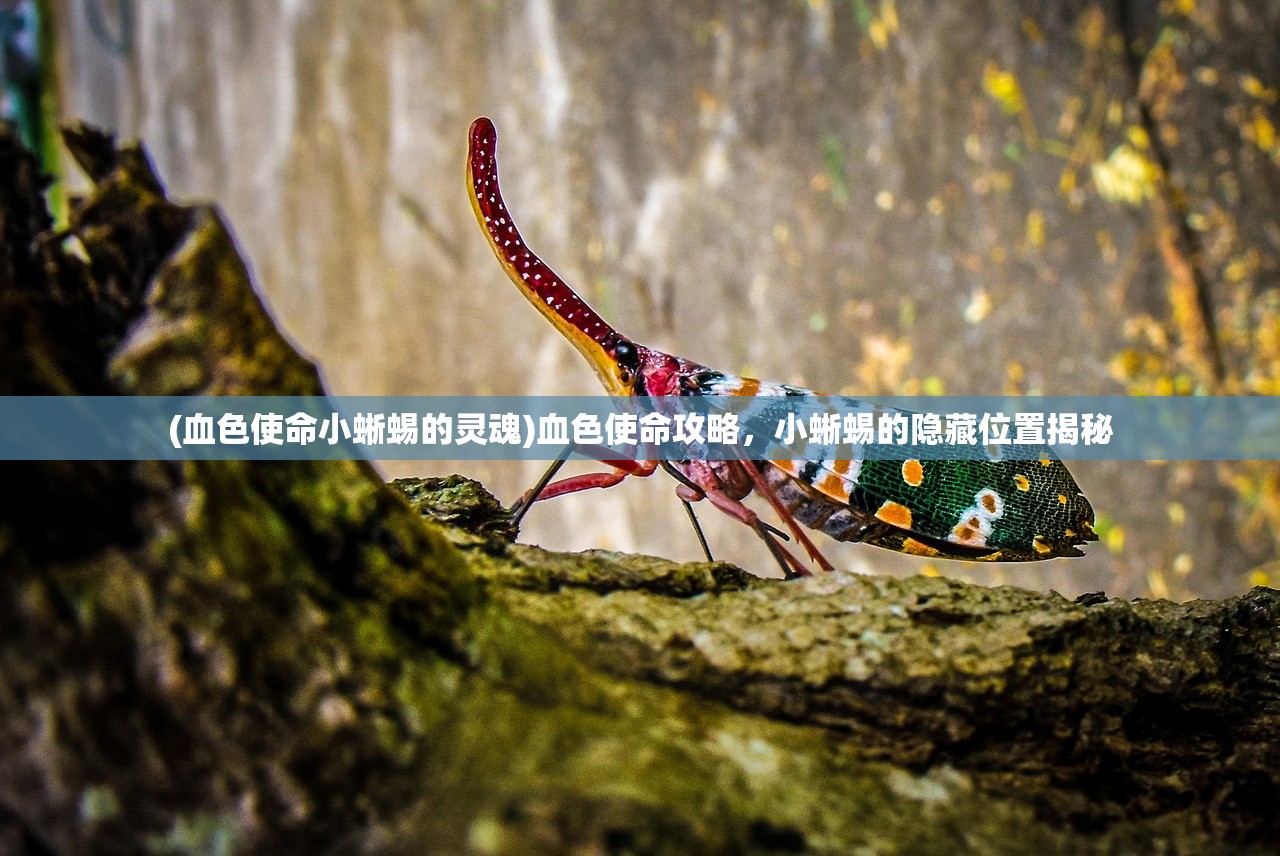 (血色使命小蜥蜴的灵魂)血色使命攻略，小蜥蜴的隐藏位置揭秘
