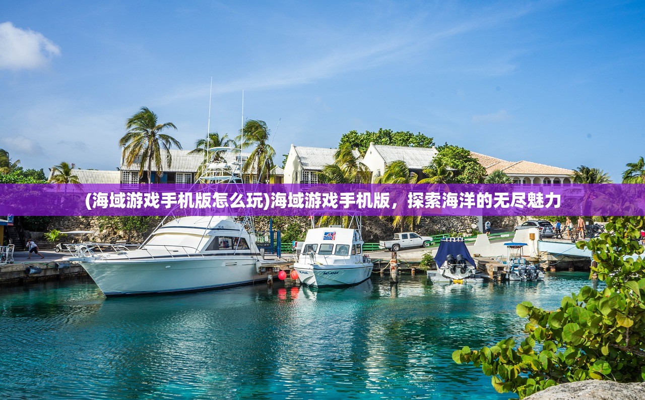 (海域游戏手机版怎么玩)海域游戏手机版，探索海洋的无尽魅力