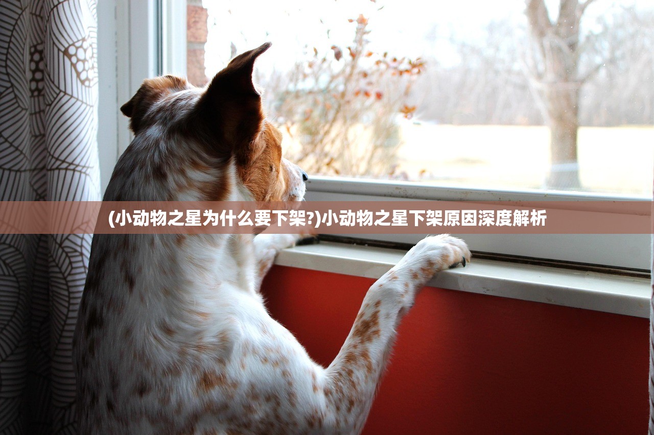 (小动物之星为什么要下架?)小动物之星下架原因深度解析