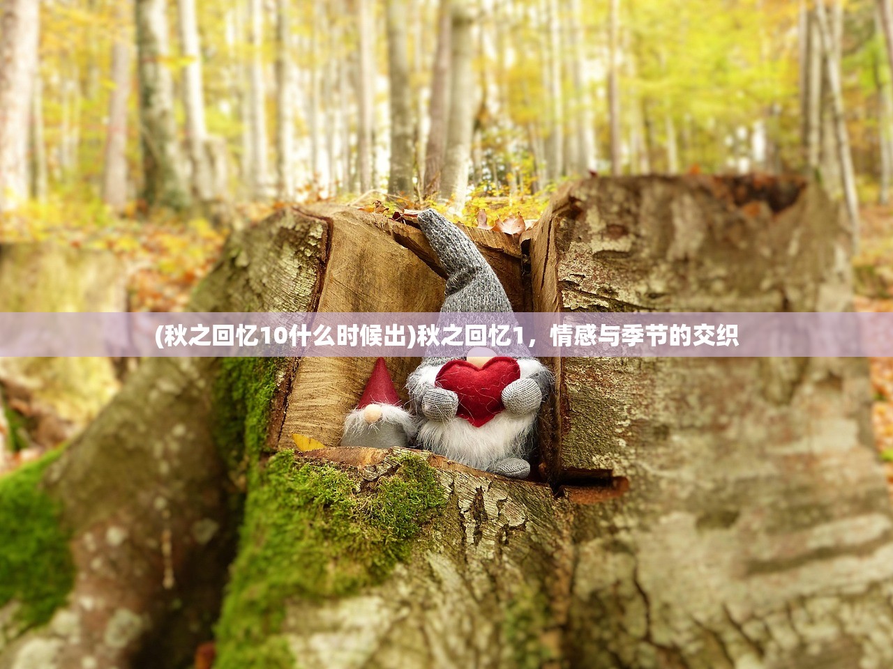 (秋之回忆10什么时候出)秋之回忆1，情感与季节的交织