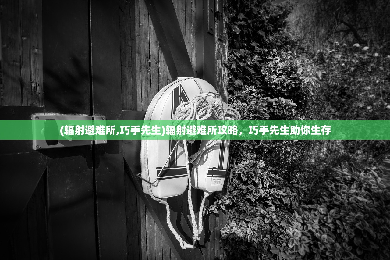(辐射避难所,巧手先生)辐射避难所攻略，巧手先生助你生存
