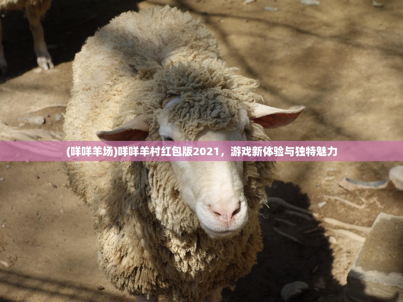 (咩咩羊场)咩咩羊村红包版2021，游戏新体验与独特魅力