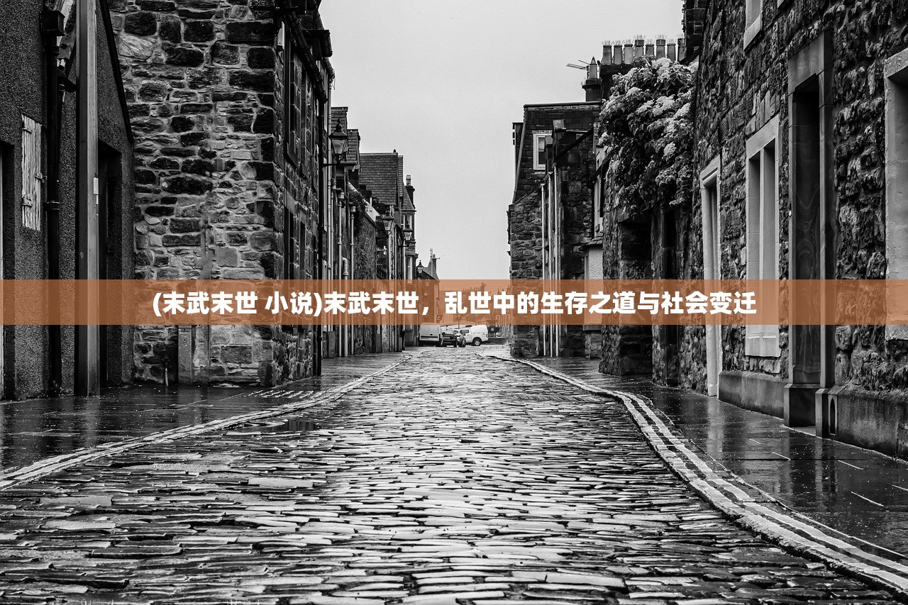 (末武末世 小说)末武末世，乱世中的生存之道与社会变迁