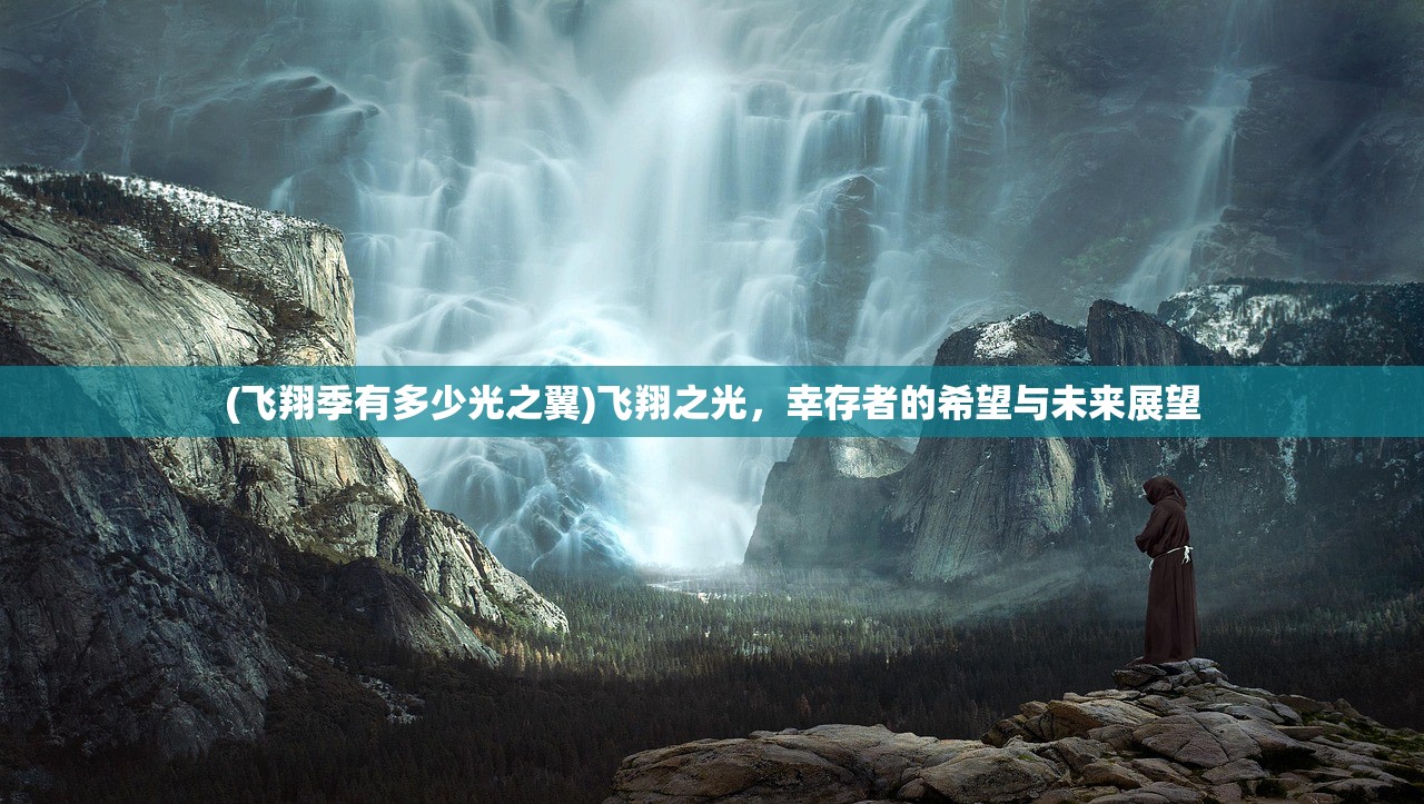 (飞翔季有多少光之翼)飞翔之光，幸存者的希望与未来展望