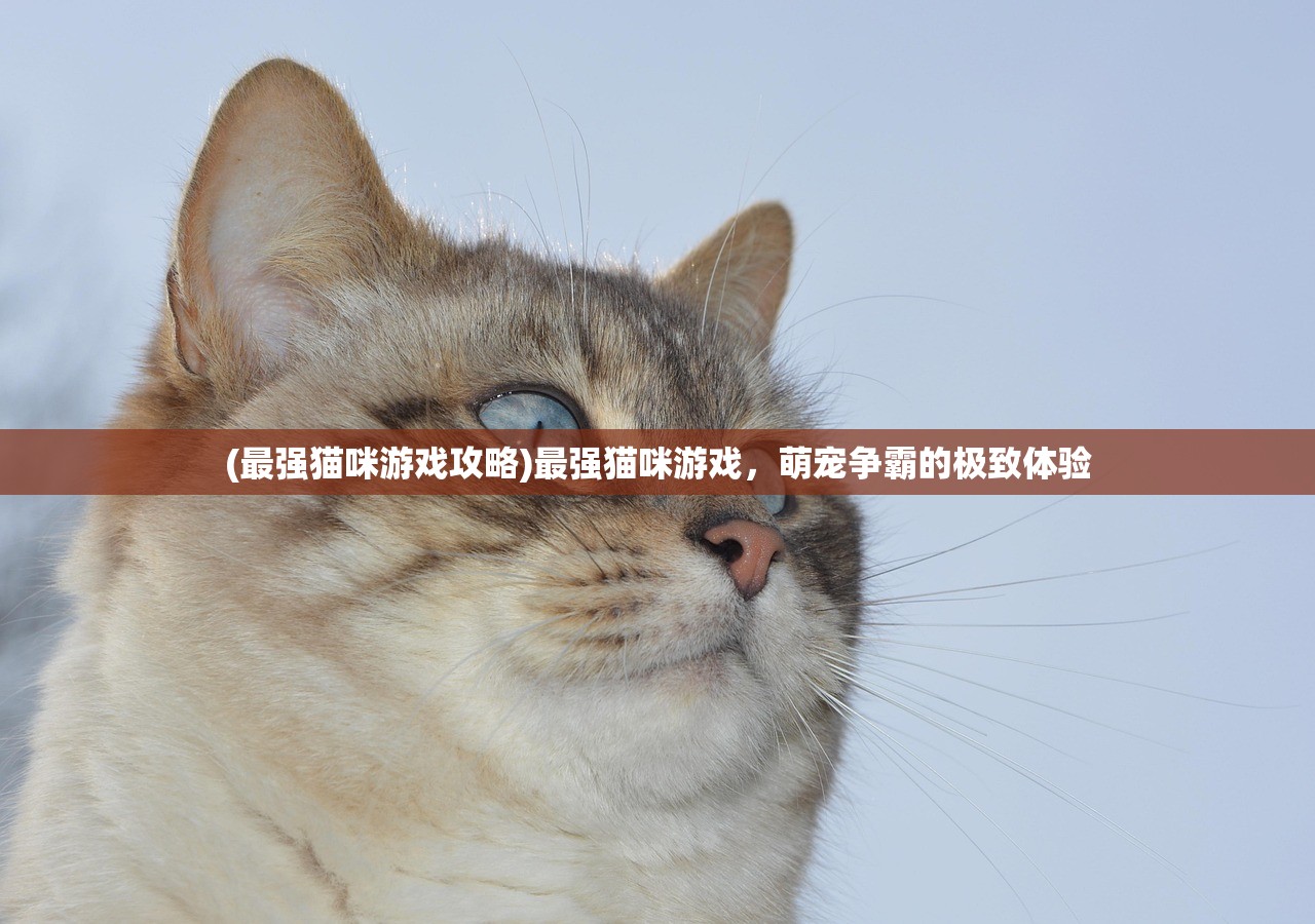 (群威争霸三分天下攻略大全)群威争霸三分天下攻略详解及常见问题解答