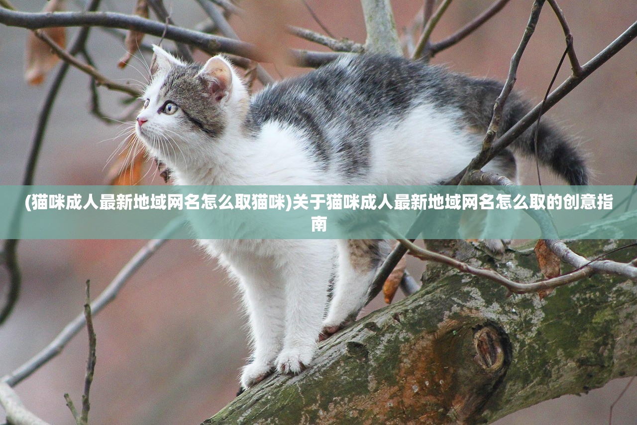 (黎明征服者阵容怎么玩)黎明征服者，一场跨越时空的征服之旅