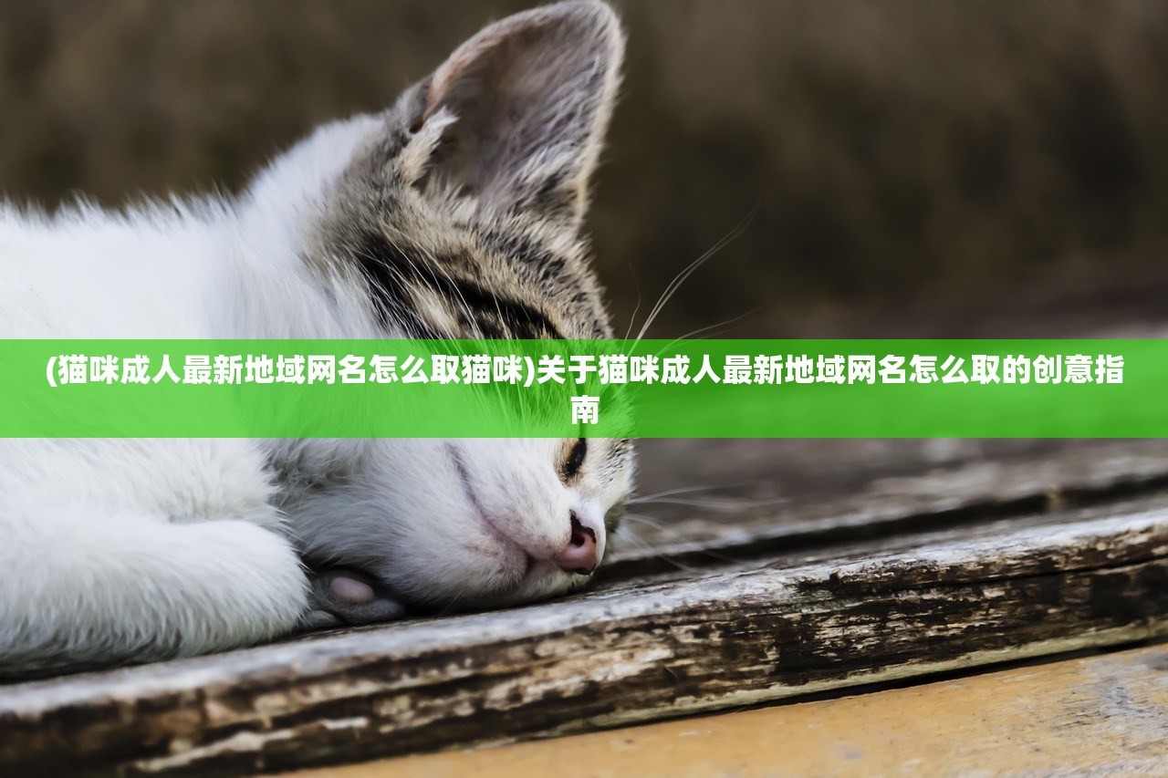 (猫咪成人最新地域网名怎么取猫咪)关于猫咪成人最新地域网名怎么取的创意指南