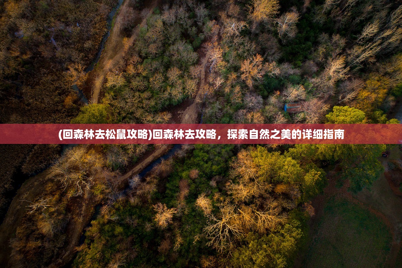 (回森林去松鼠攻略)回森林去攻略，探索自然之美的详细指南