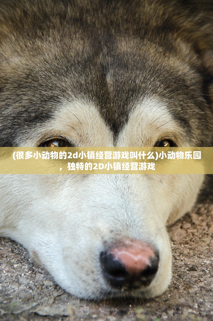 (很多小动物的2d小镇经营游戏叫什么)小动物乐园，独特的2D小镇经营游戏
