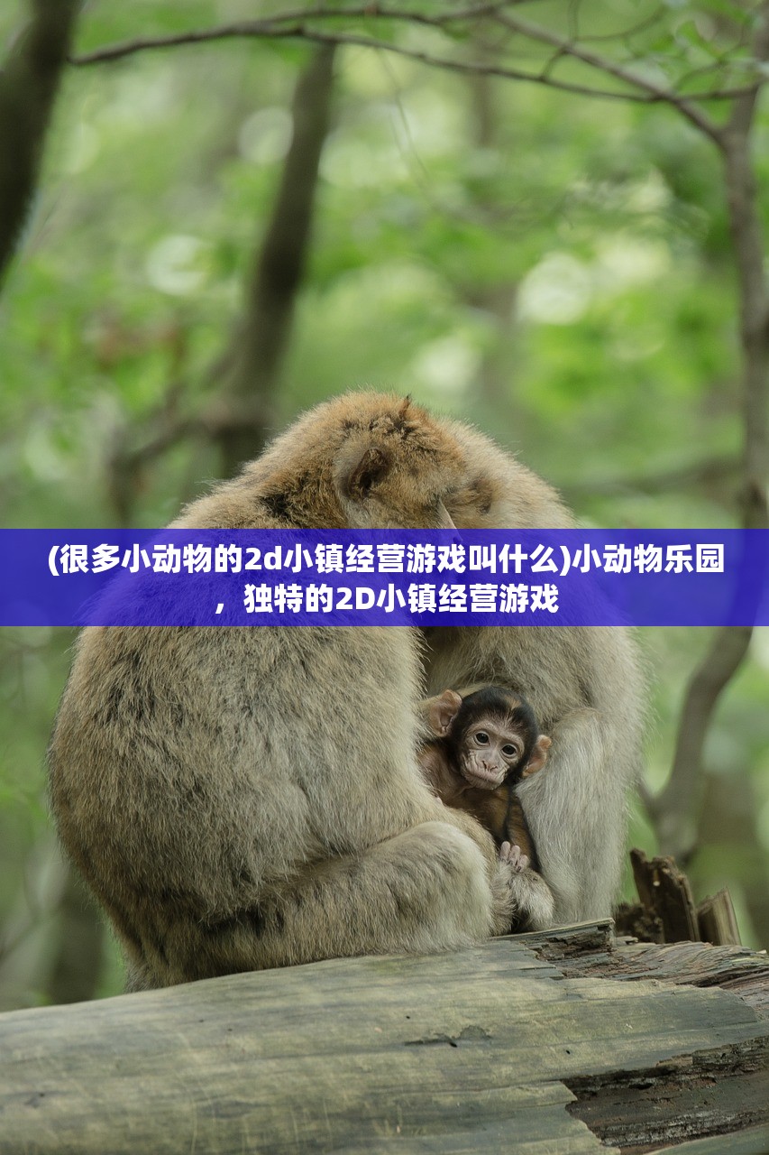 (很多小动物的2d小镇经营游戏叫什么)小动物乐园，独特的2D小镇经营游戏