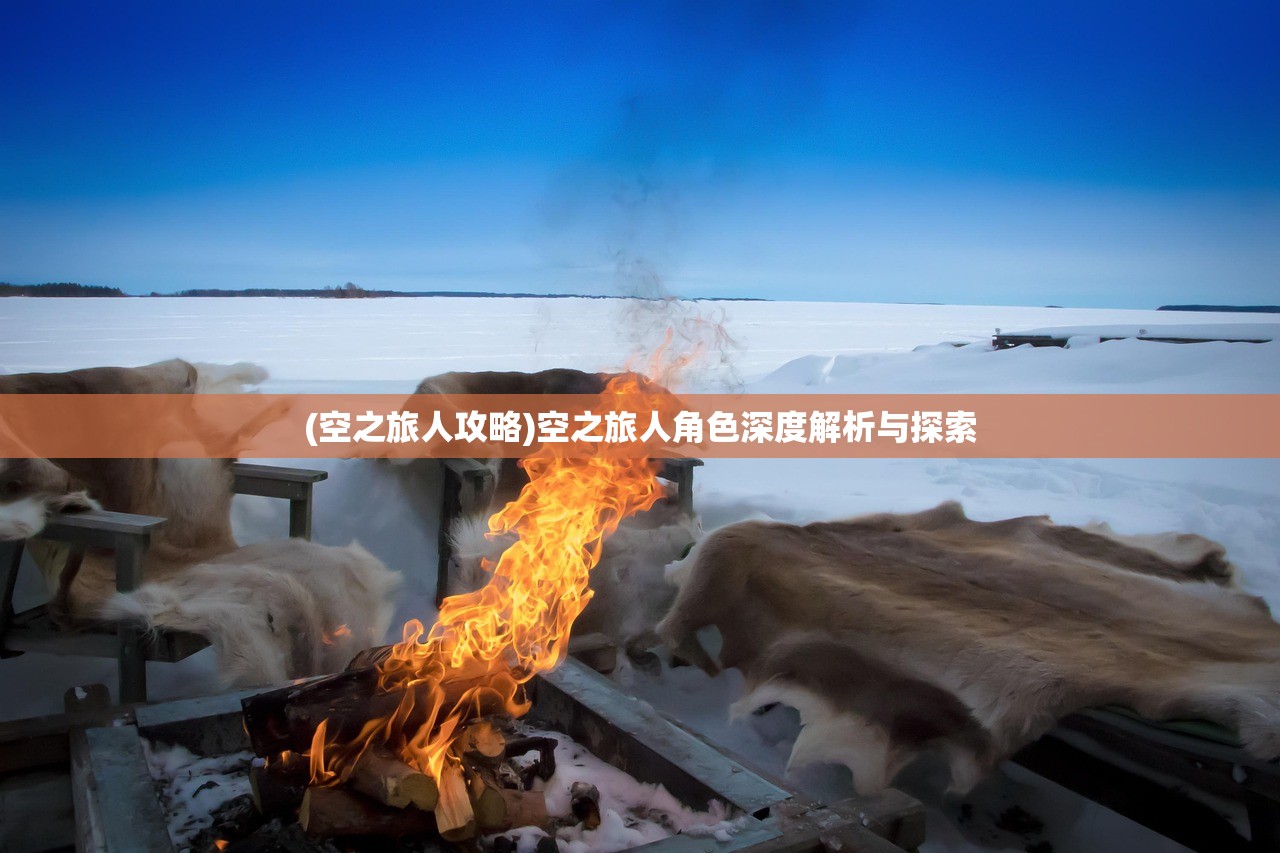 (空之旅人攻略)空之旅人角色深度解析与探索
