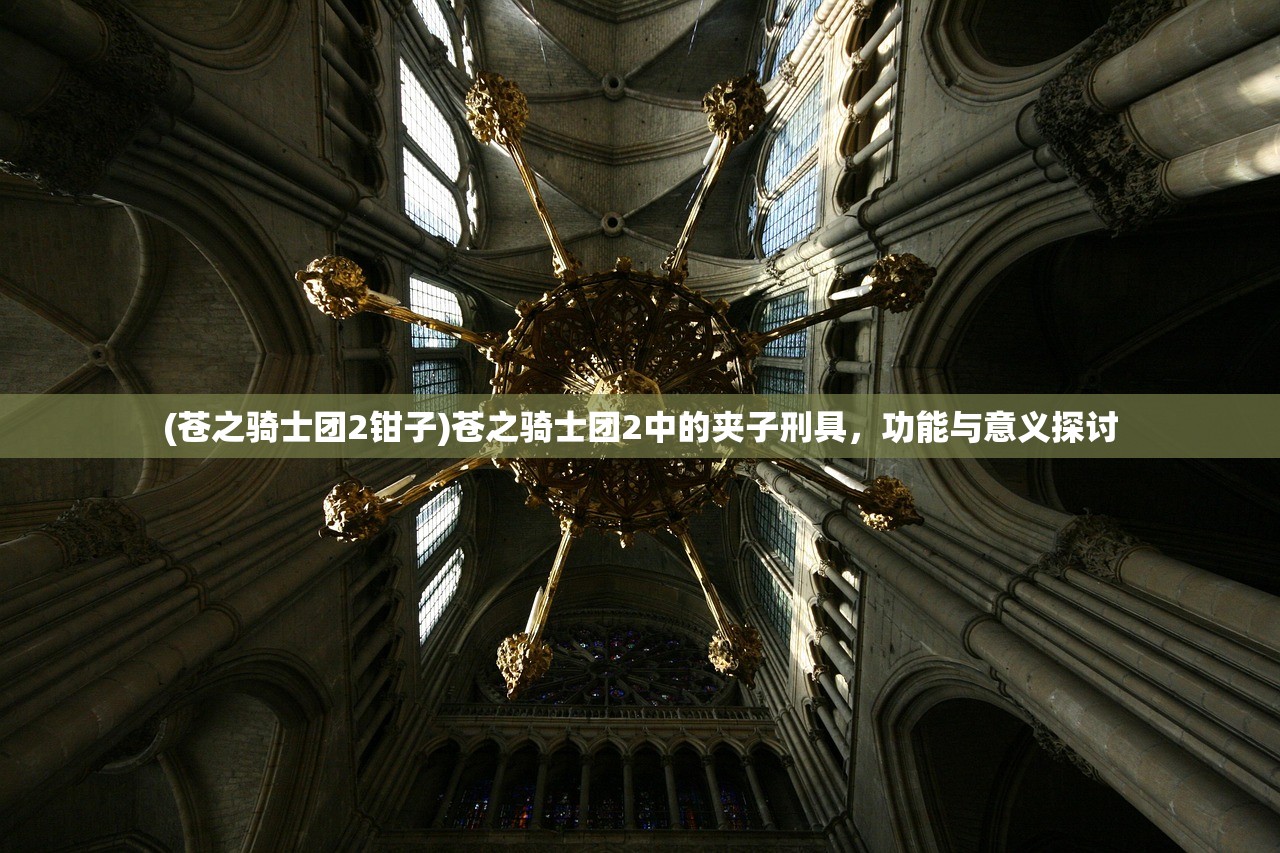 (苍之骑士团2钳子)苍之骑士团2中的夹子刑具，功能与意义探讨