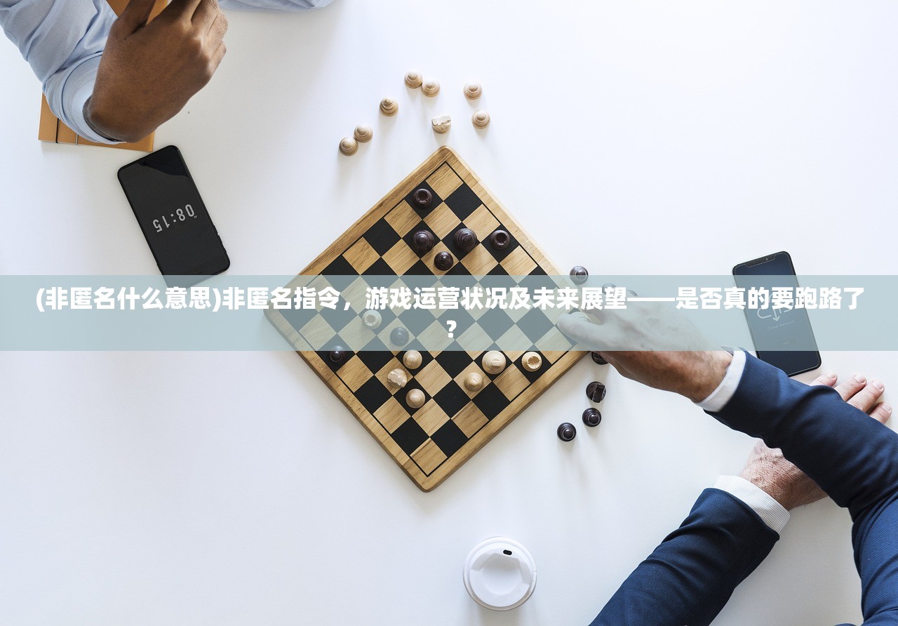 (非匿名什么意思)非匿名指令，游戏运营状况及未来展望——是否真的要跑路了？