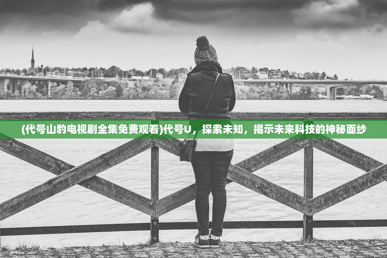 (代号山豹电视剧全集免费观看)代号U，探索未知，揭示未来科技的神秘面纱