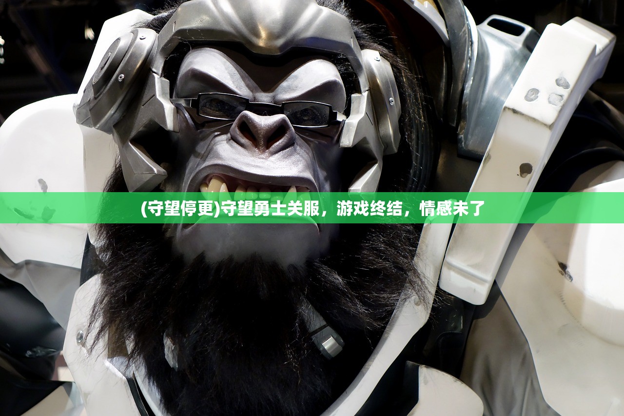 (守望停更)守望勇士关服，游戏终结，情感未了