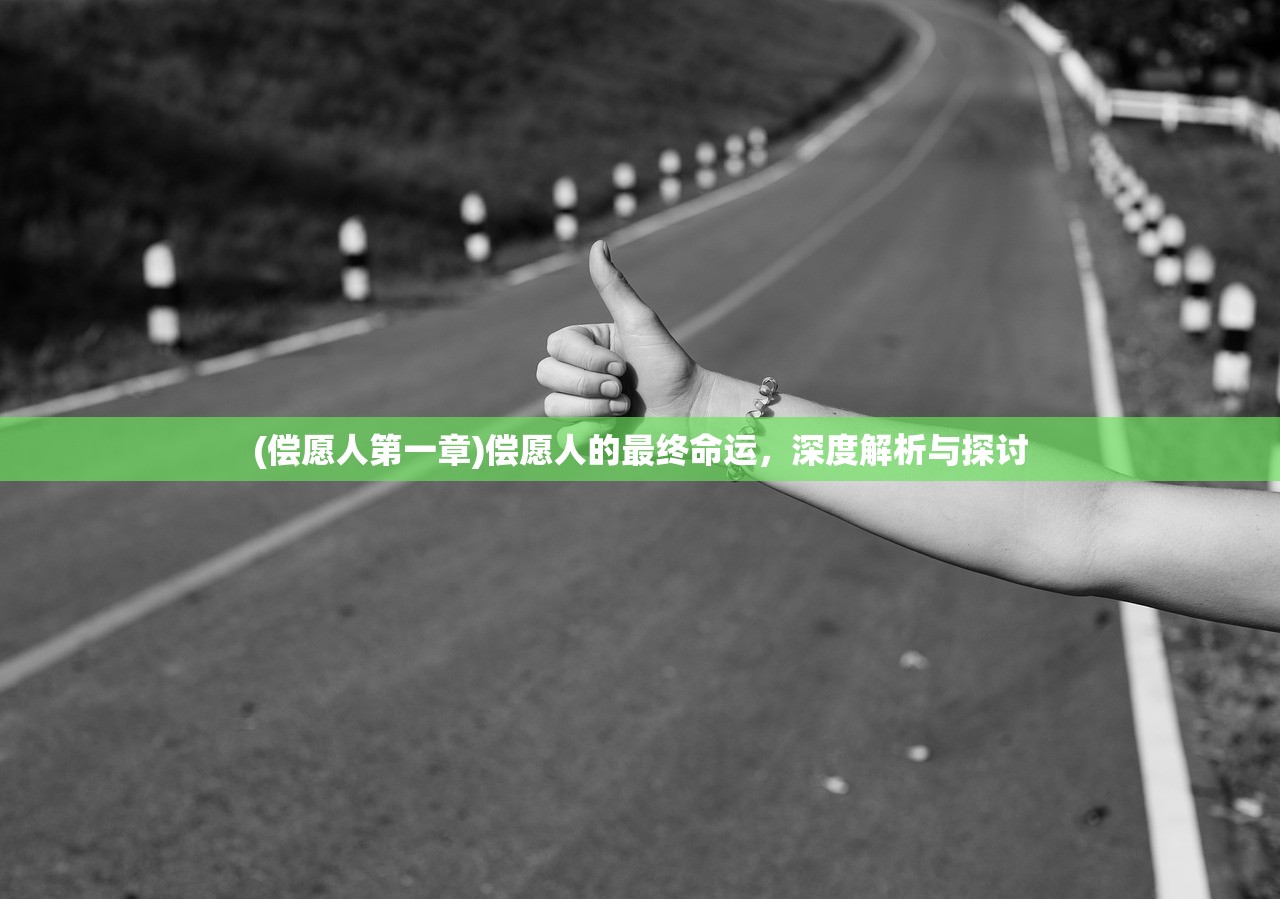 (偿愿人第一章)偿愿人的最终命运，深度解析与探讨