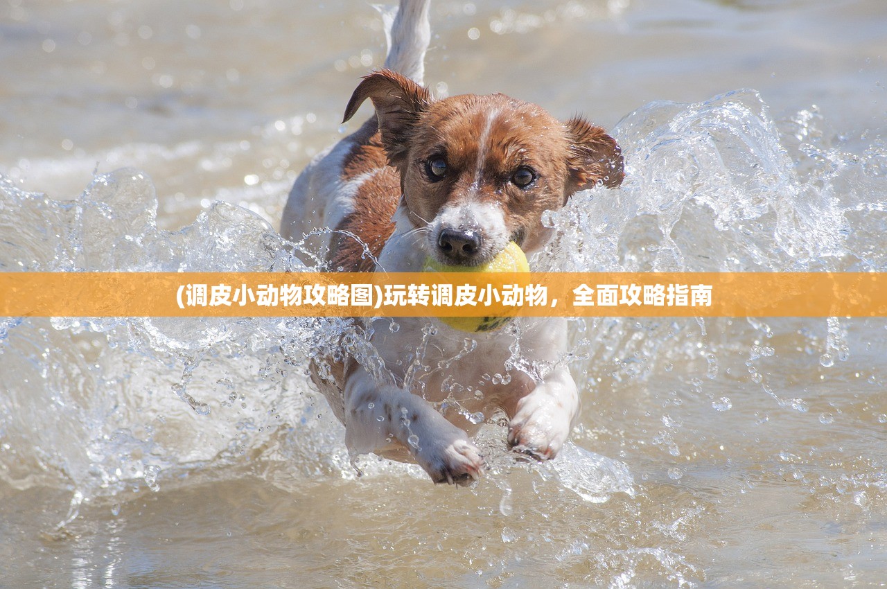(调皮小动物攻略图)玩转调皮小动物，全面攻略指南