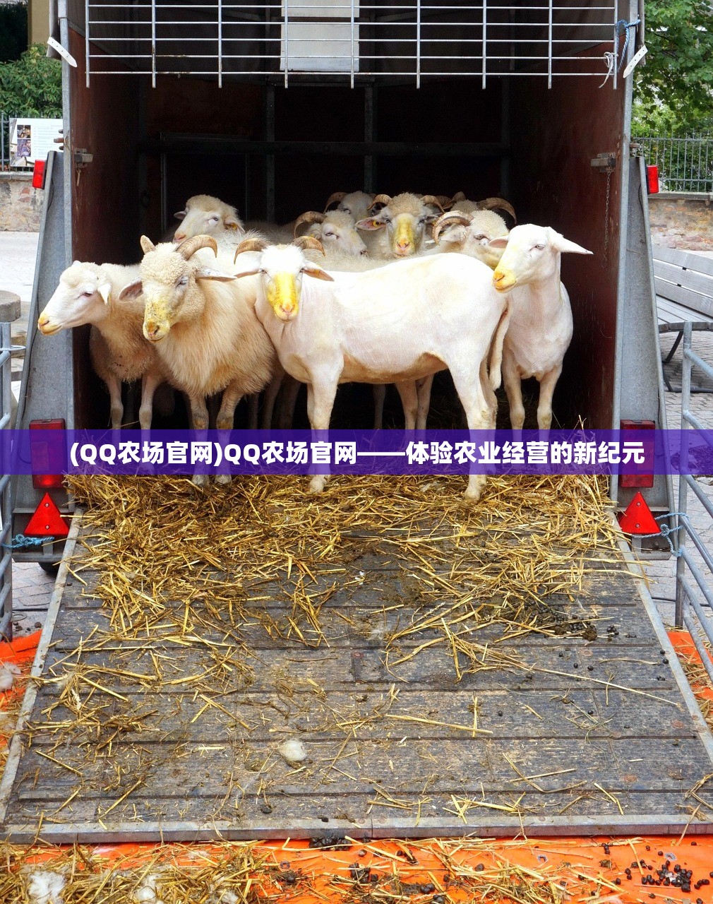 (QQ农场官网)QQ农场官网——体验农业经营的新纪元