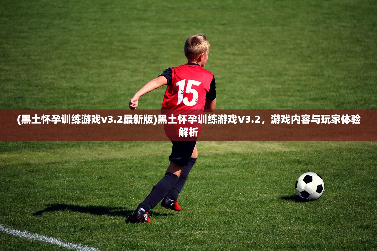 (黑土怀孕训练游戏v3.2最新版)黑土怀孕训练游戏V3.2，游戏内容与玩家体验解析