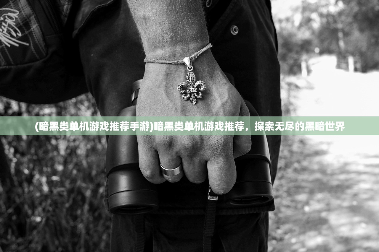 (暗黑类单机游戏推荐手游)暗黑类单机游戏推荐，探索无尽的黑暗世界