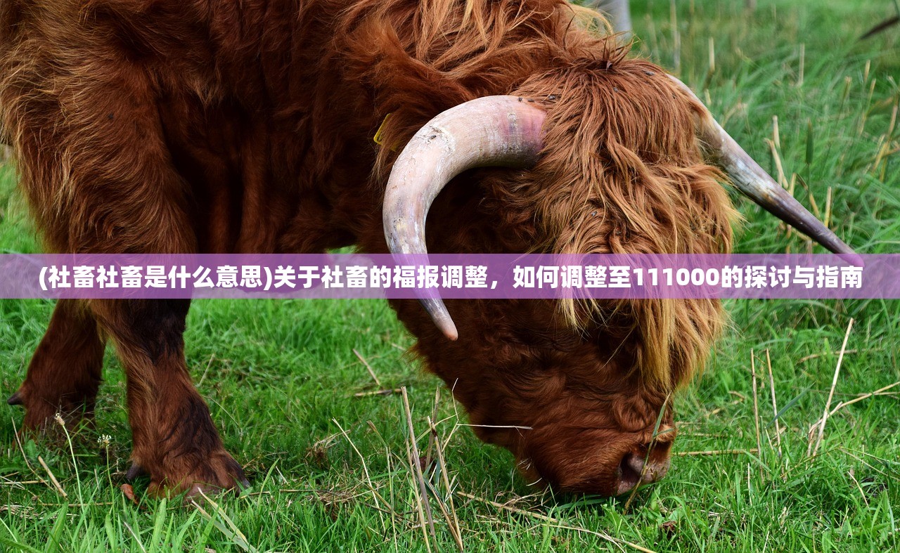 (社畜社畜是什么意思)关于社畜的福报调整，如何调整至111000的探讨与指南