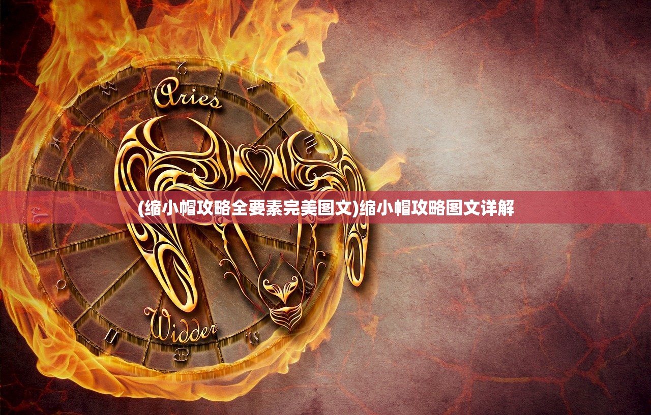 (缩小帽攻略全要素完美图文)缩小帽攻略图文详解