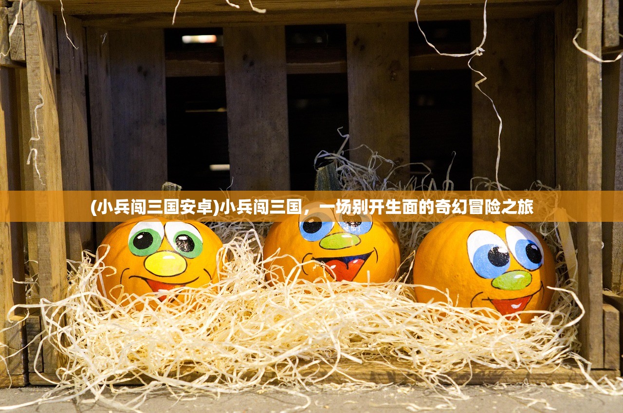 (小兵闯三国安卓)小兵闯三国，一场别开生面的奇幻冒险之旅