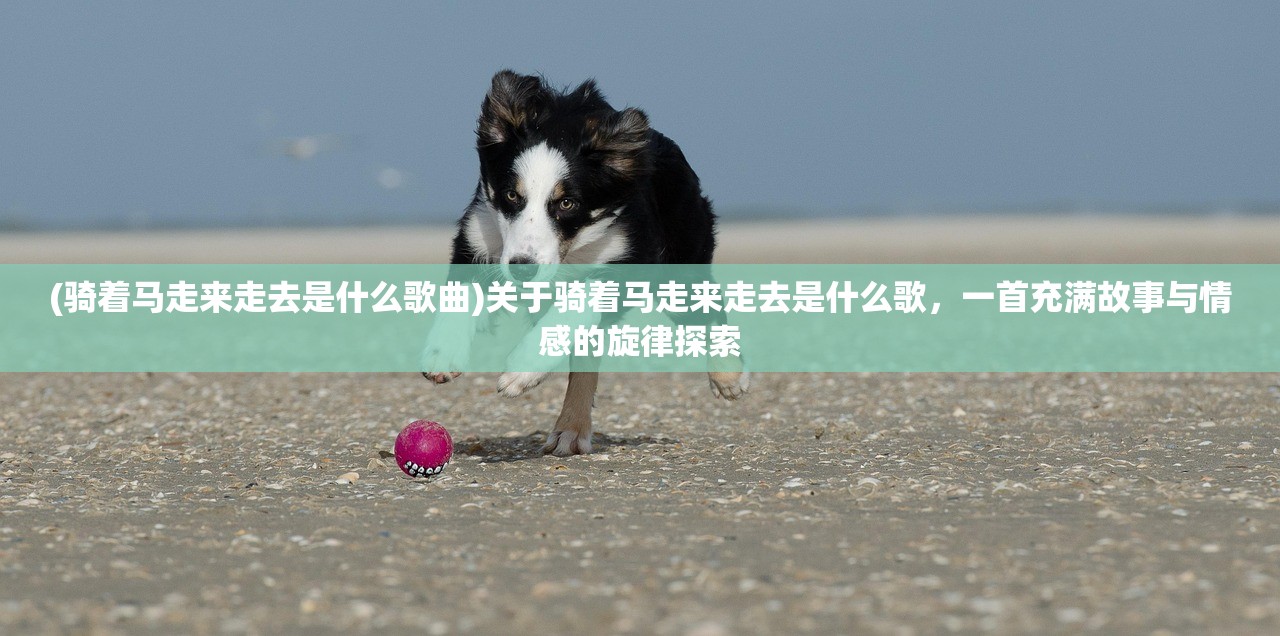 (骑着马走来走去是什么歌曲)关于骑着马走来走去是什么歌，一首充满故事与情感的旋律探索