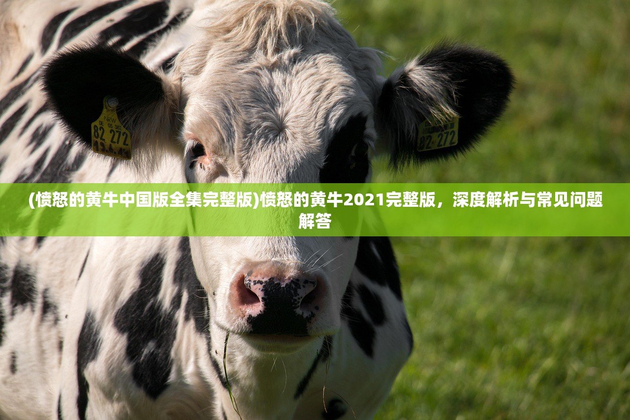 (铁血攻沙2激活码)铁血攻沙2，全新战略挑战与游戏深度解析