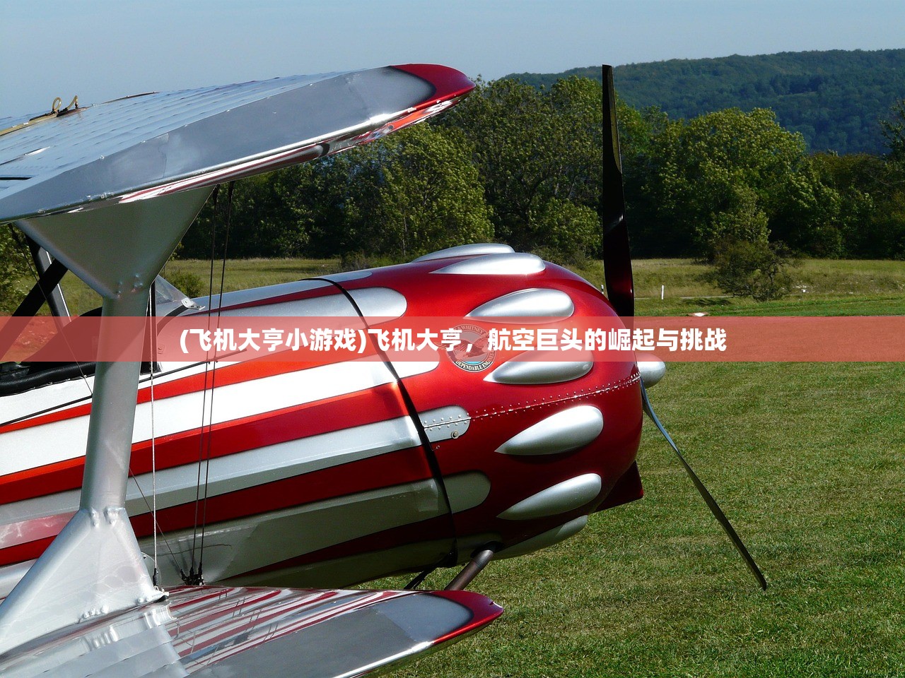 (飞机大亨小游戏)飞机大亨，航空巨头的崛起与挑战