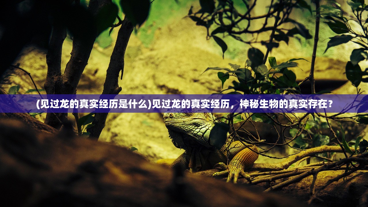 (见过龙的真实经历是什么)见过龙的真实经历，神秘生物的真实存在？