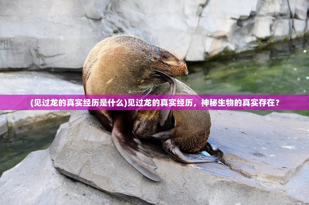 (见过龙的真实经历是什么)见过龙的真实经历，神秘生物的真实存在？