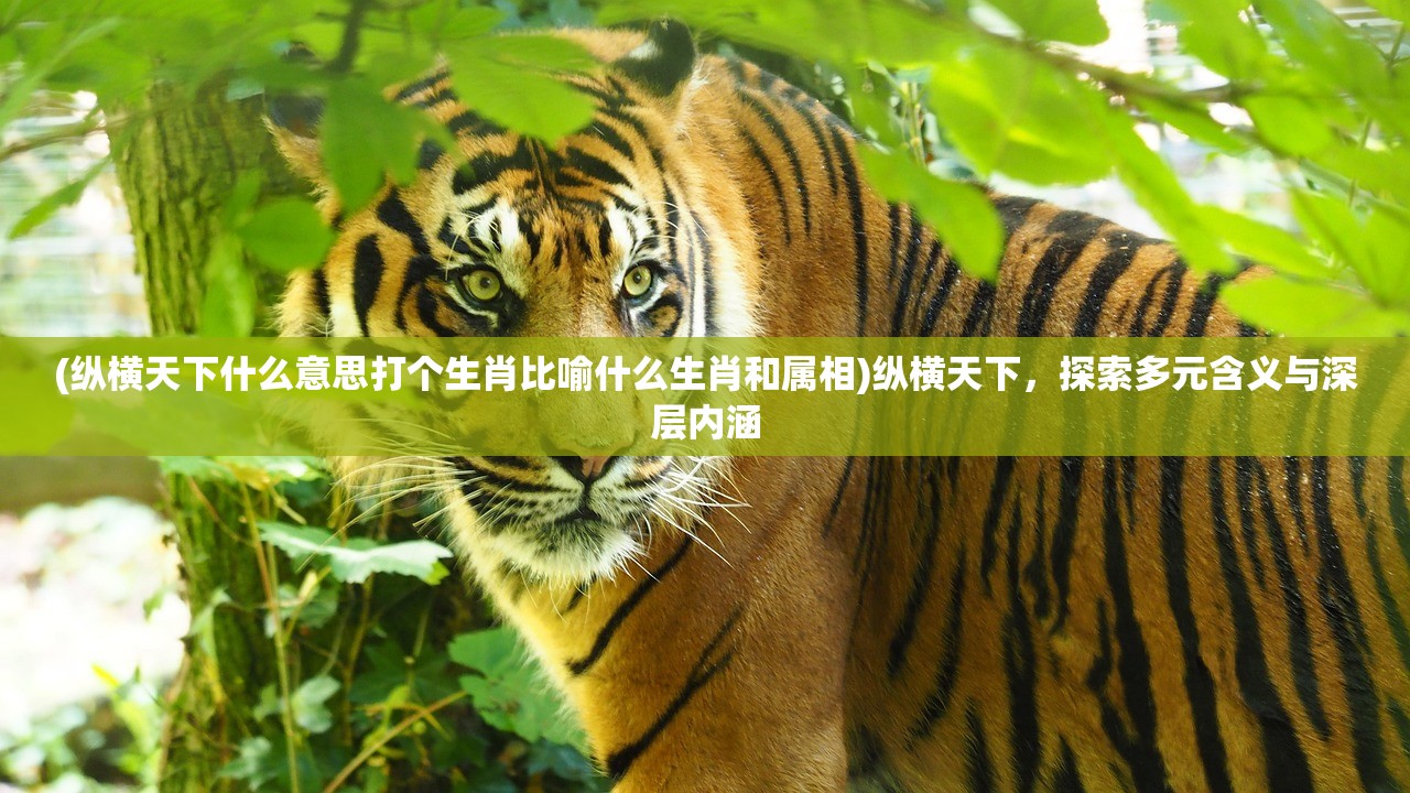 (纵横天下什么意思打个生肖比喻什么生肖和属相)纵横天下，探索多元含义与深层内涵
