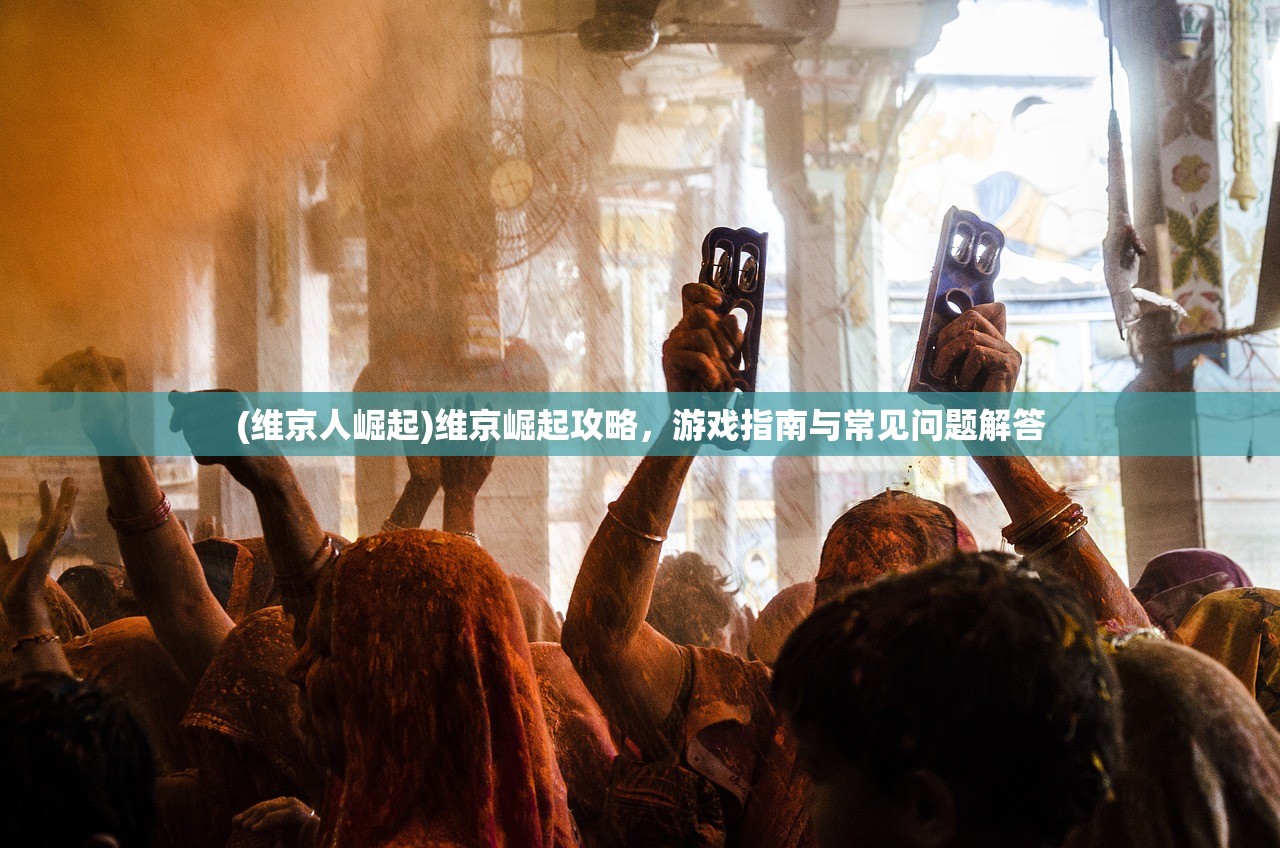 (维京人崛起)维京崛起攻略，游戏指南与常见问题解答