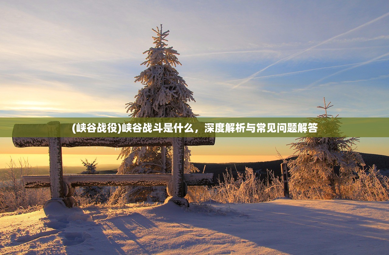 (峡谷战役)峡谷战斗是什么，深度解析与常见问题解答