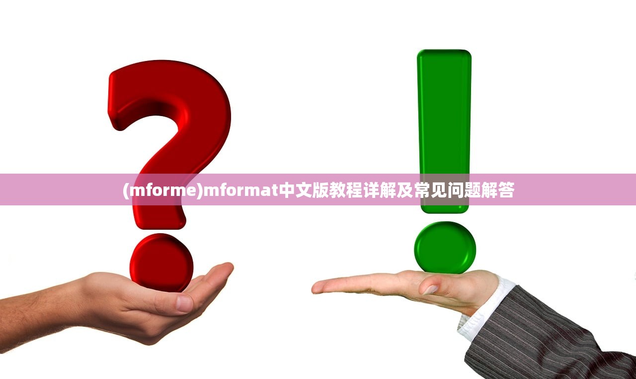 (mforme)mformat中文版教程详解及常见问题解答
