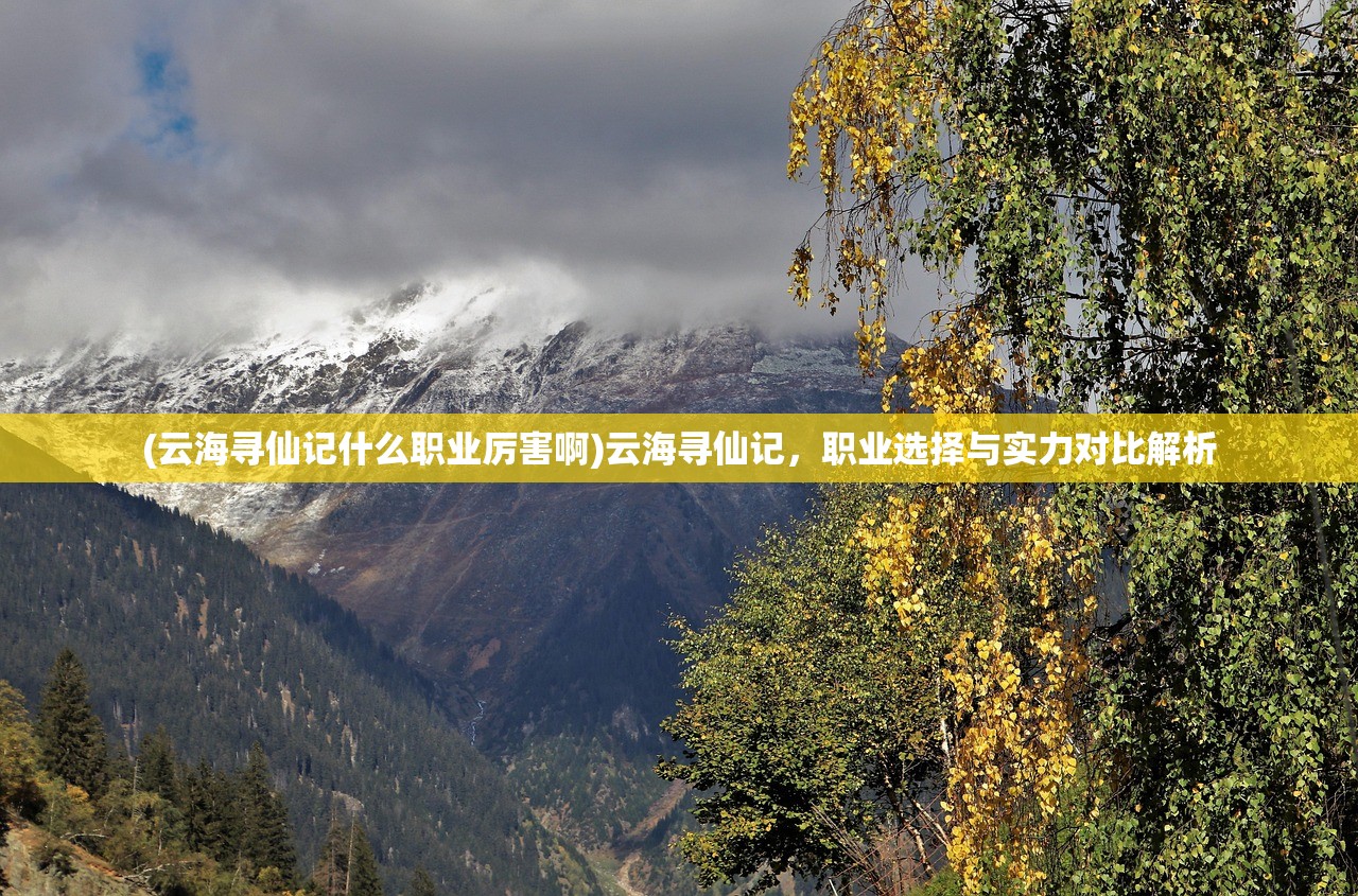 (云海寻仙记什么职业厉害啊)云海寻仙记，职业选择与实力对比解析