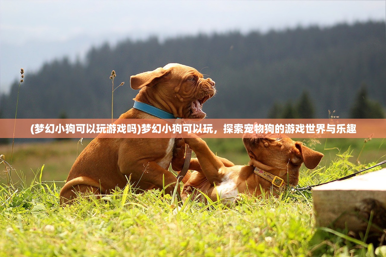 (梦幻小狗可以玩游戏吗)梦幻小狗可以玩，探索宠物狗的游戏世界与乐趣