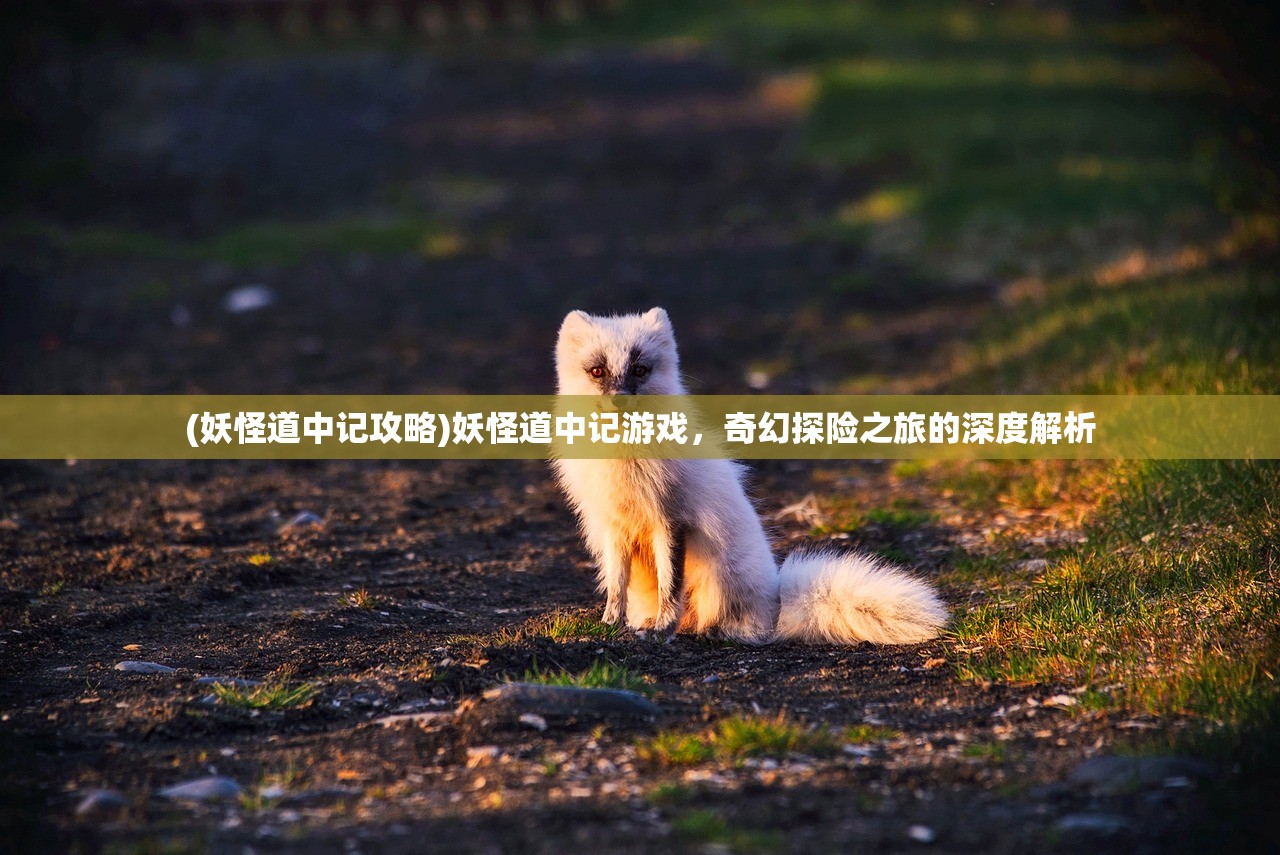 (妖怪道中记攻略)妖怪道中记游戏，奇幻探险之旅的深度解析