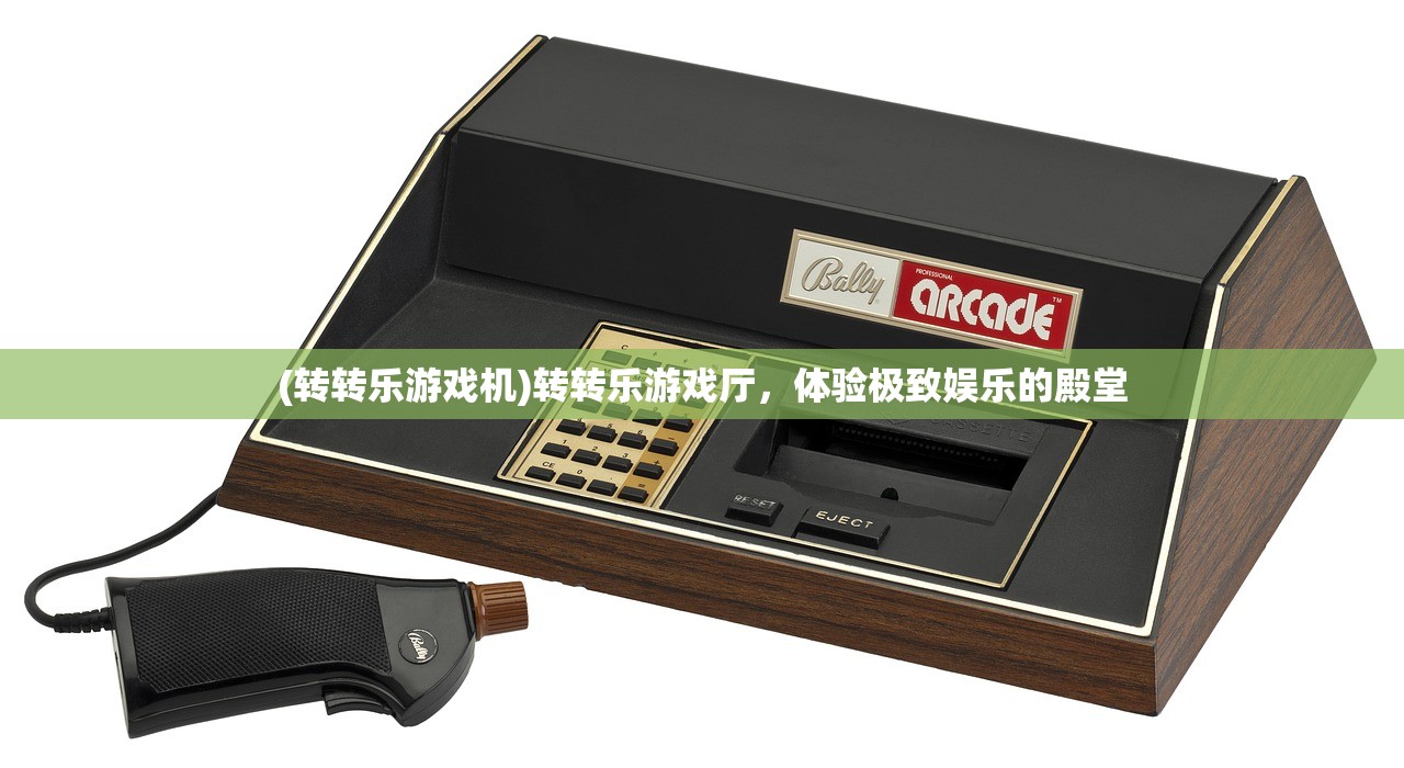 (转转乐游戏机)转转乐游戏厅，体验极致娱乐的殿堂