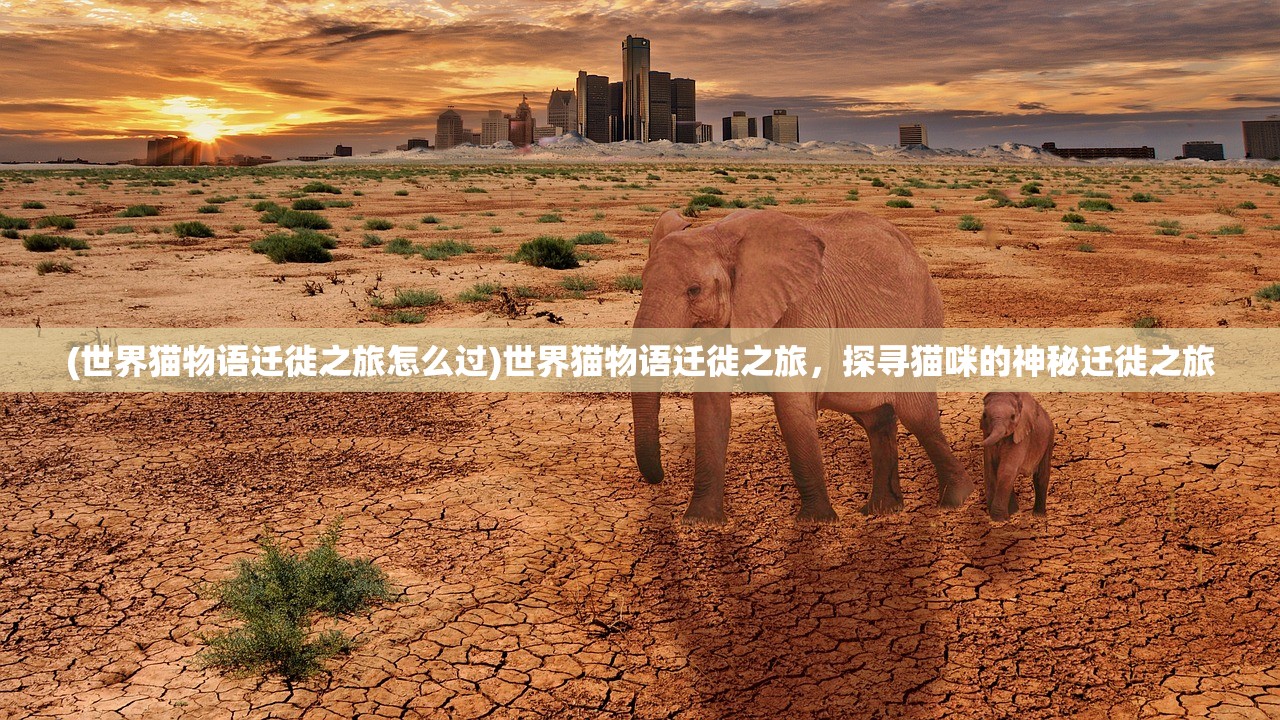 (世界猫物语迁徙之旅怎么过)世界猫物语迁徙之旅，探寻猫咪的神秘迁徙之旅