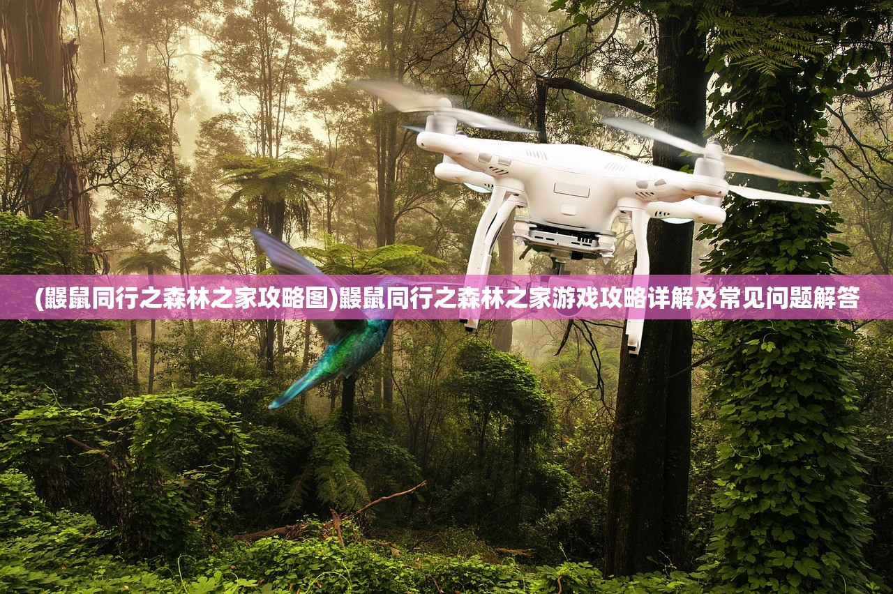 (鼹鼠同行之森林之家攻略图)鼹鼠同行之森林之家游戏攻略详解及常见问题解答