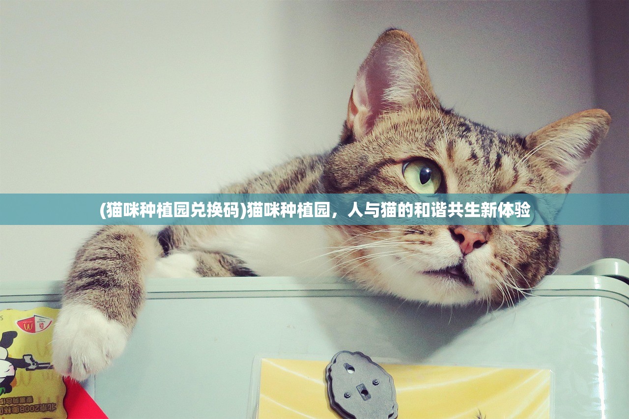 (猫咪种植园兑换码)猫咪种植园，人与猫的和谐共生新体验