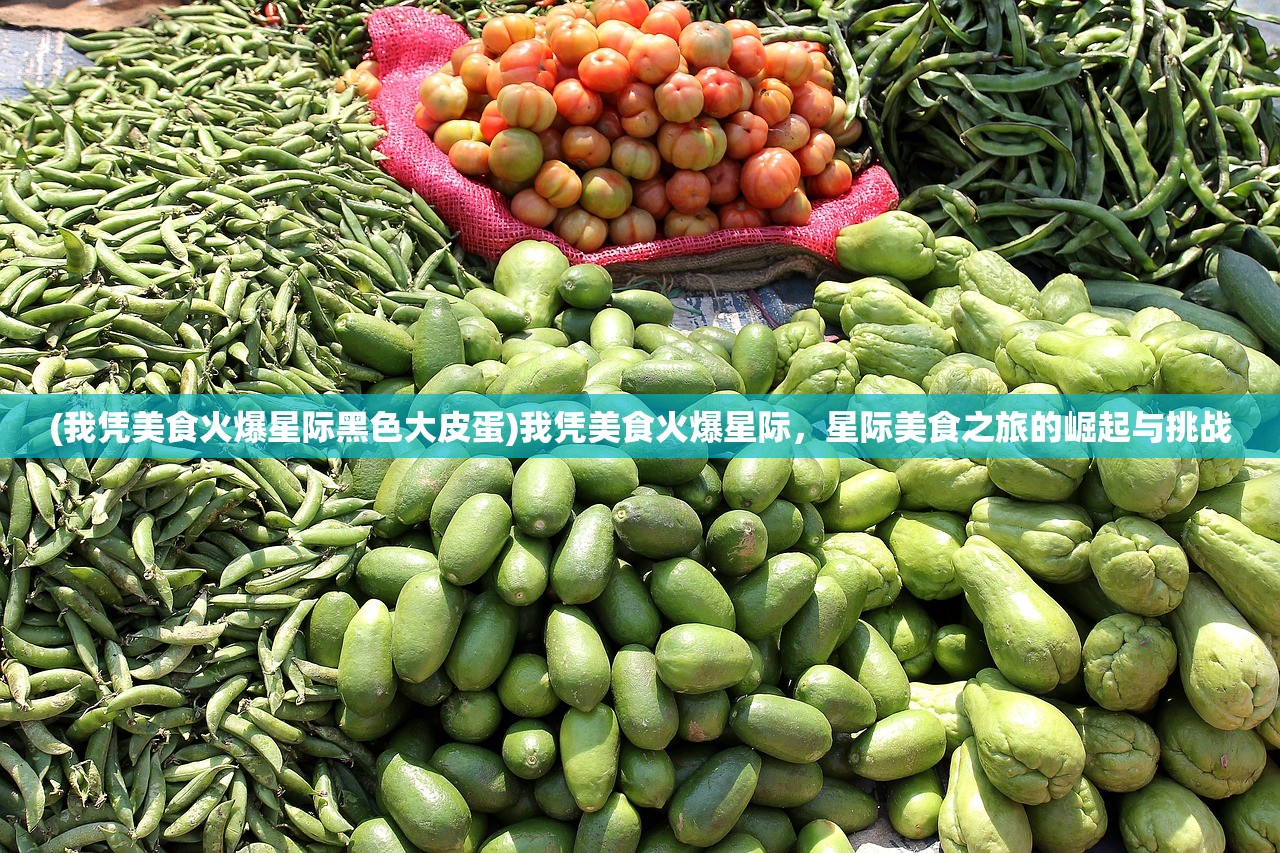 (我凭美食火爆星际黑色大皮蛋)我凭美食火爆星际，星际美食之旅的崛起与挑战