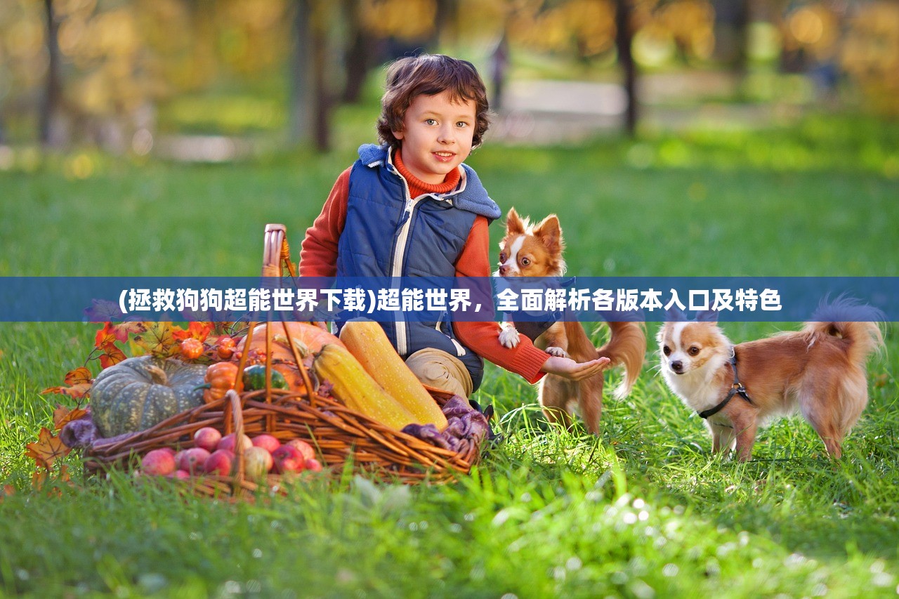 (拯救狗狗超能世界下载)超能世界，全面解析各版本入口及特色