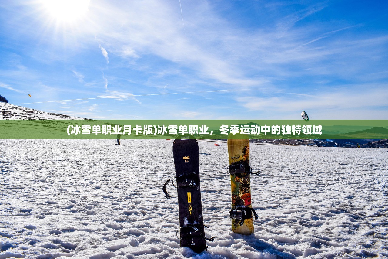 (冰雪单职业月卡版)冰雪单职业，冬季运动中的独特领域