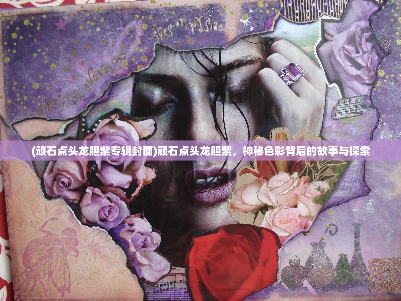 (顽石点头龙胆紫专辑封面)顽石点头龙胆紫，神秘色彩背后的故事与探索