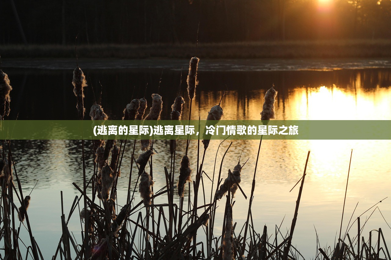 (逃离的星际)逃离星际，冷门情歌的星际之旅